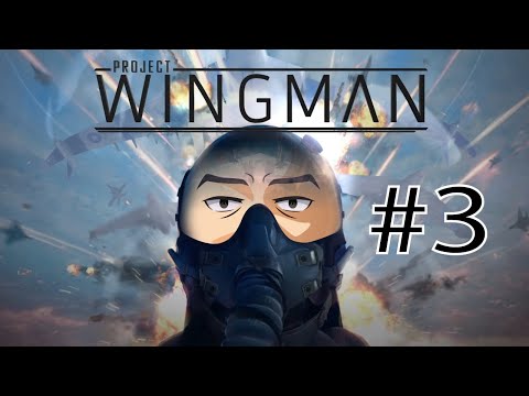 【Project Wingman】ジェット日本兵#3【戦闘機】