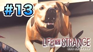 その犬、凶暴につき【Life Is Strange】実況：Part１３