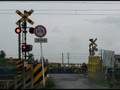 東武伊勢崎線　踏切 （1）
