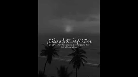 تلاوة خاشعة لسورة النور الآية 25_23 من القارئ ماهر المعيقلي #القرآن_الكريم #سورة_النور