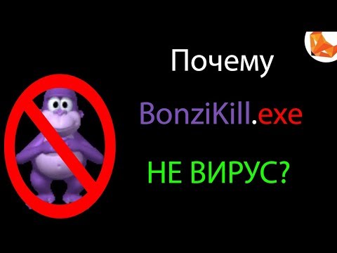 Видео: Вся правда про BonziKill.exe | [СКРИМЕР НА 1:28]