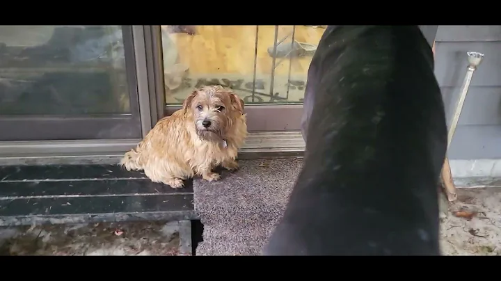 They're plotting something...