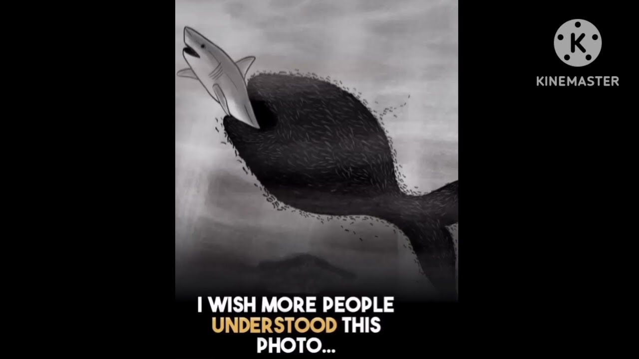 Motivational quotes in english #quotes #motivation #inspiration