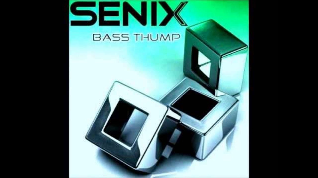 Senix Remix - DJ ZM SAMM