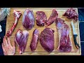 How to butcher a deer hind quarter  every cut explained 