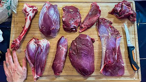 How to Butcher a Deer Hind Quarter * EVERY CUT EXPLAINED *