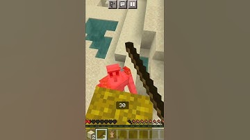 Minecraft But every 30 seconds I get random effects #shorts #minecraft