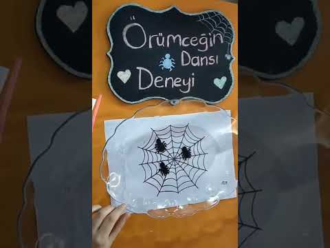 Örümceğin Dansı Deneyi 🕷️🕸️ Okul öncesi deney❤️ #preschool #short #experiment #spider