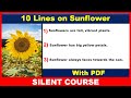 10 Lines on Sunflower | Few Lines About Sunflower In English | Few Sentences About Sunflower