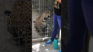 McCarthy Wildlife Sanctuary