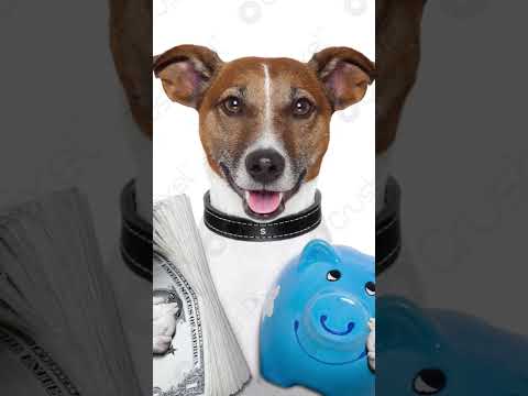 دنانير و بلانكو