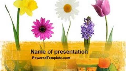 Window Flowers PowerPoint Template by PoweredTemplate.com