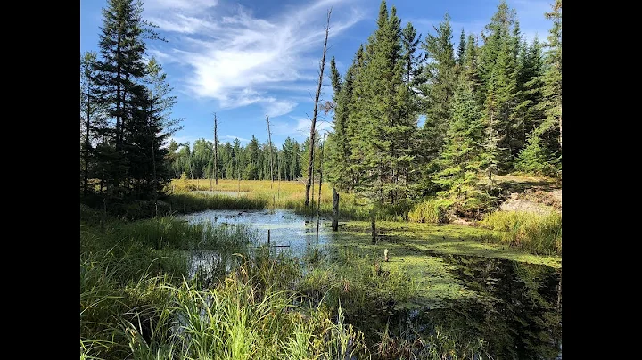 Backpacking the BWCA: Snowbank and Kekekabic Trails