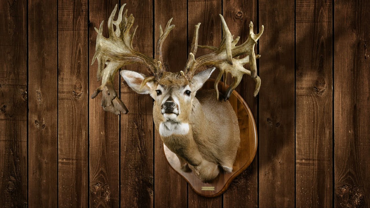 Trophy Talk with Hole in the Horn | Legendary Whitetails
