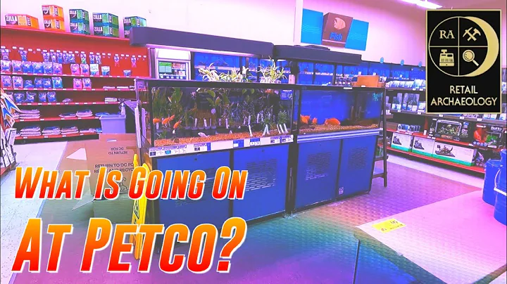 What Is Going On At Petco? | Retail Archaeology