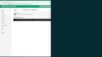 Using GitLab Annex to manage large files in your git repositories