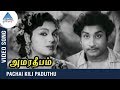 Pachai Kili Paduthu Video Song | Amara Deepam Tamil Movie | Sivaji | Padmini | Pyramid Glitz Music