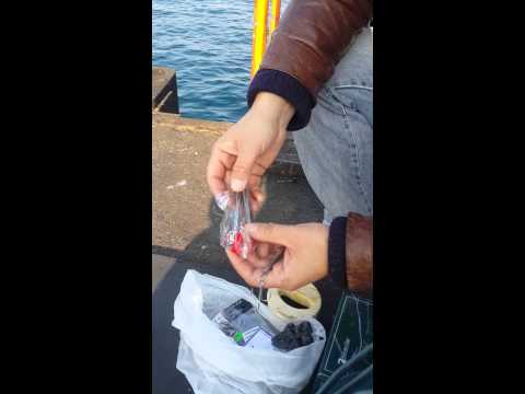 морская рыбалка в чили