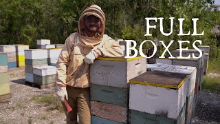 Southeast Texas Honey Flow Is Coming To An End!