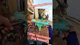 Abc Program And Release Same Place #release #abcprogram #shorts #dog #ytviral #animals #pets