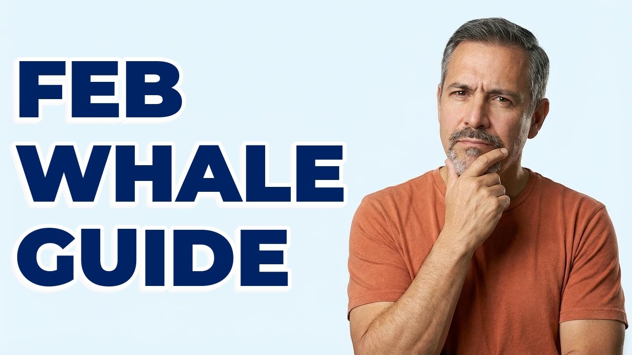 Can You See Gray Whales Off San Diego in February?