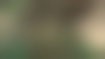 Fallout 3 Gone Wrong Wild Edition