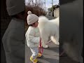 犬とお散歩 #赤ちゃん #いぬすたぐらむ #犬 #baby #dog
