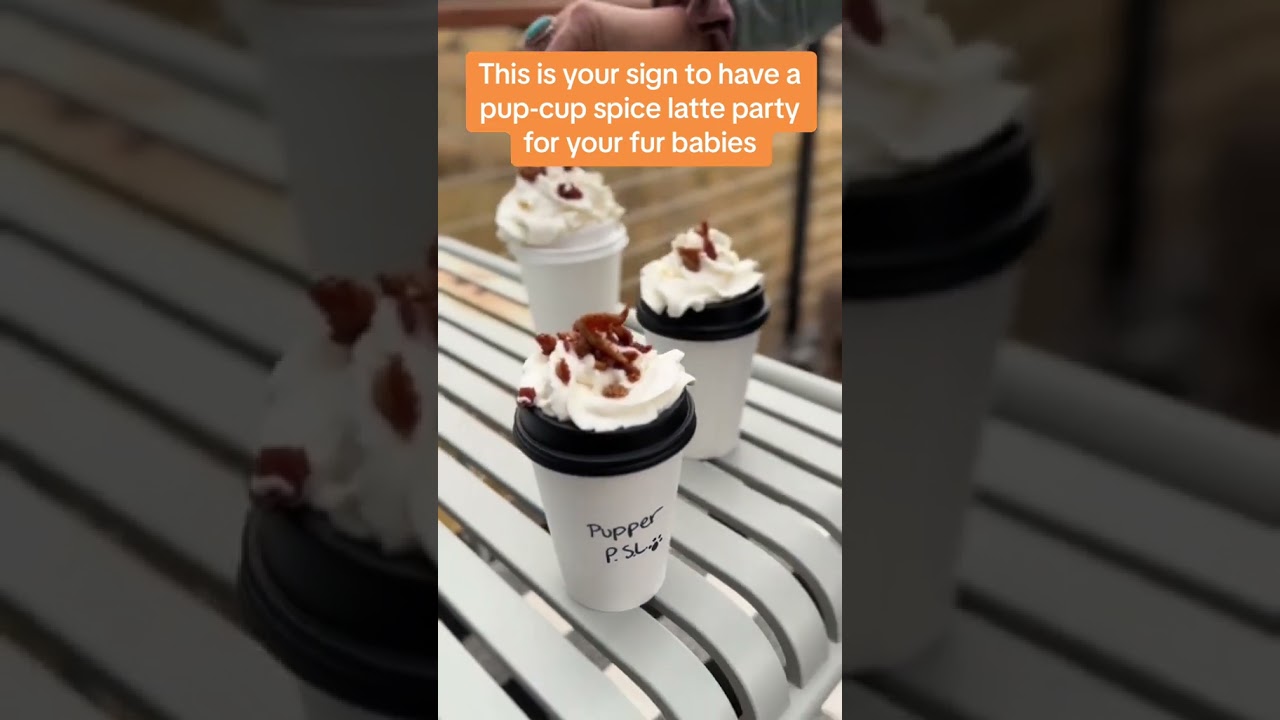 We Found The PERFECT Fall Activity For You and Your Dogs 🍁🐾