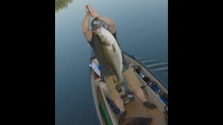 23 Pound River Striper Lost Pond Fishing