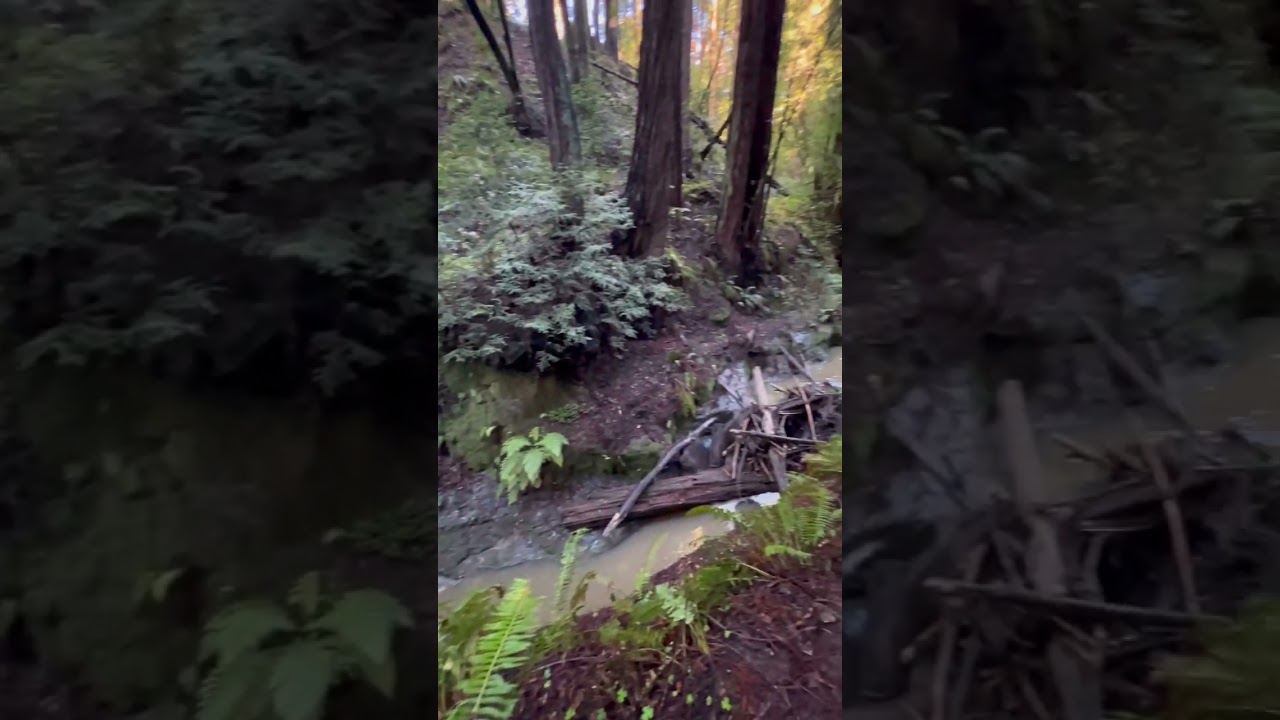 Another Unbelievable Find on Unexpected Hiking Trail!