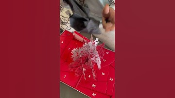 MAC advent calendar #somestuff #mac #adventcalendar