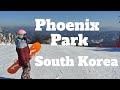 Snowboard Instructing In Phoenix Park South Korea 🇰🇷