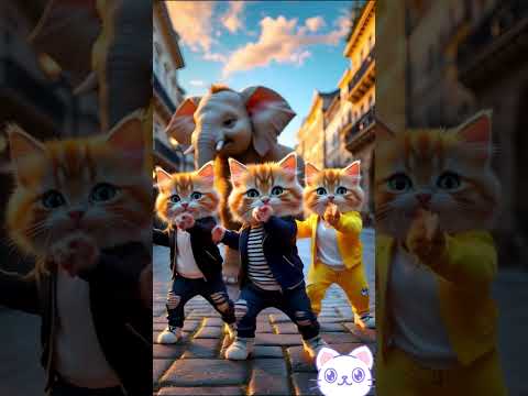'Танцующие котята и слон устроили шоу в городе! 🐘✨' #cat