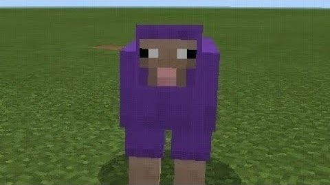 Minecraft Rainbow Sheep Tutorial#Shorts