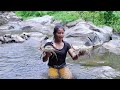 Survival in the forest: Found catch two big crab - Grilled crab with Chili sauce for lunch in jungle