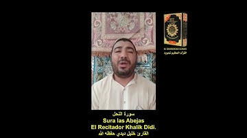 Sura las Abejas khalil Didi. .  سورة النحل .القارئ خليل ديدي حفظه الله