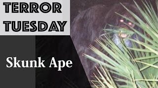 The Skunk Ape: Bigfoot's Smelly Cousin