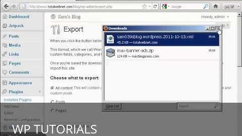 Video 47   How to Transfer Content From One Wordpress Blog to Another