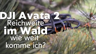 DJI Avata 2 CE Reichweite im Wald - Signalstärke bei Hindernissen - Rangetest through Obstacles