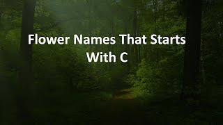 Flower Names That Starts With C