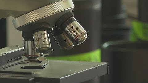 USM researchers get training on ethics and artificial intelligence