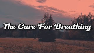 Volia - The Cure For Breathing (lyrics)