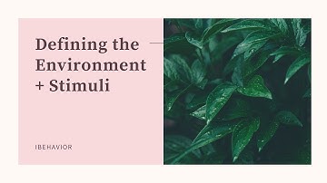 iBehavior: Environment + Stimuli