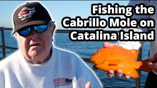 Cabrillo Mole and Fishing, Catalina Island - Pier Fishing in California by Pier Fishing in California 5,576 views 2 years ago 15 minutes