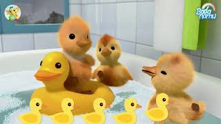 duck duck goose goose song badanamu nursery rhymes preschool