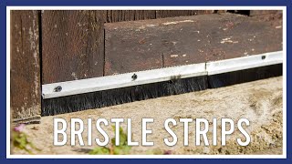 Rodent proof bristle strips