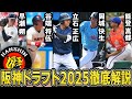阪神ドラフト2025指名選手を徹底解説！！世代No. 1スラッガーの指名権を獲得！！