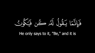 كروما قرآن كريم - الشيخ: ياسر الدوسري- سورة البقرة ( الآيات 116 - 119 ) #كرومات_قرآن