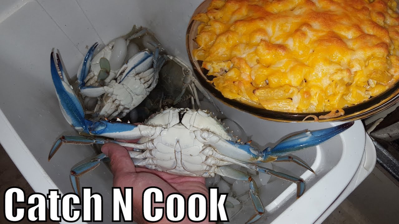 Fishing Florida Blue Crab catch n cook YouTube