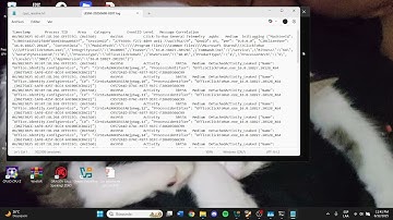 gestion de procesos windows cmd